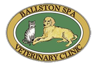 Ballston Spa Veterinary Clinic